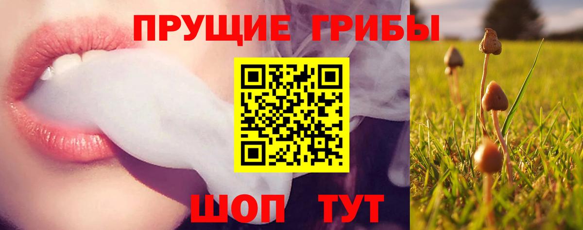 Галлюциногенные грибы GOLDEN TEACHER  Вход с VPN  Нововоронеж 