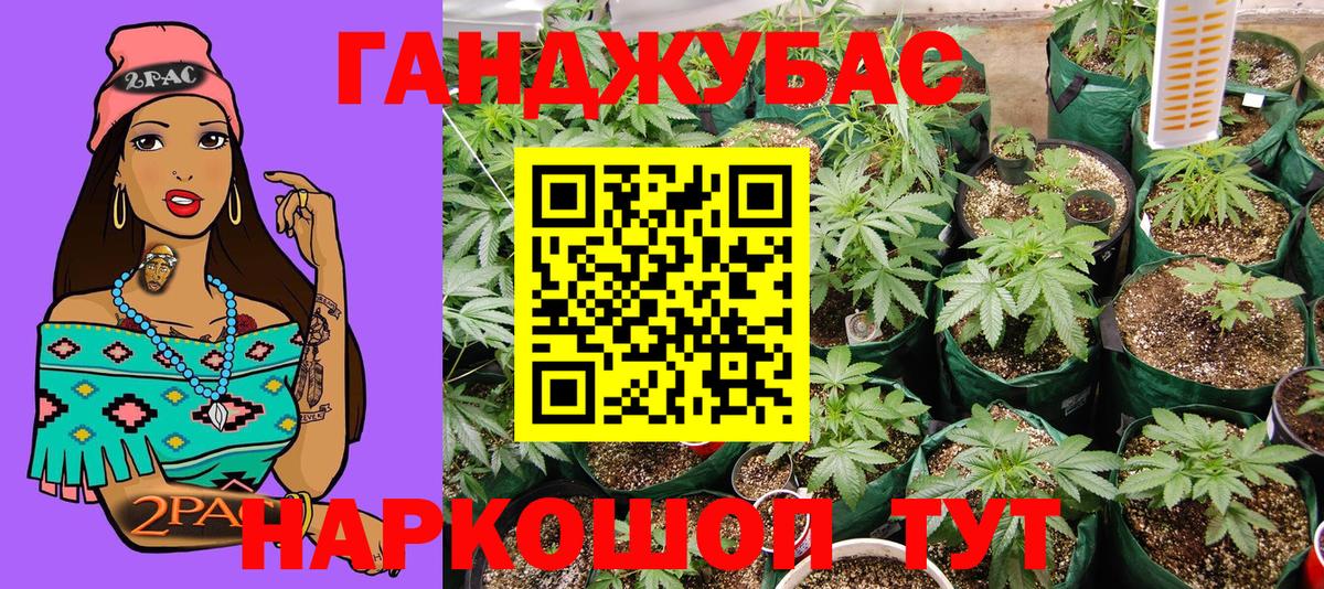 Каннабис марихуана Нововоронеж